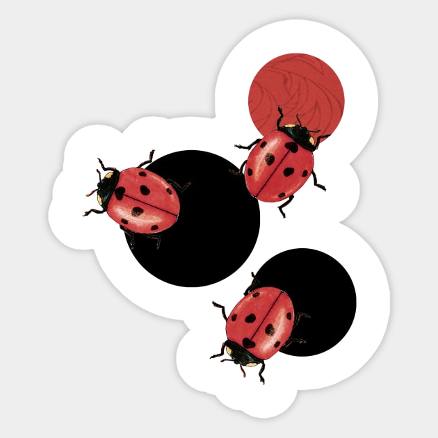 LadyBird Polka Sticker by paulabelleflores